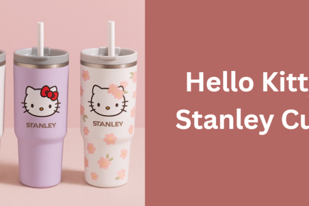 Hello Kitty Stanley Cup