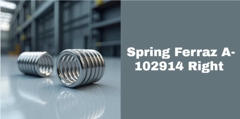 Spring Ferraz A-102914 Right:
